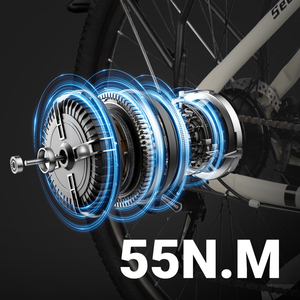 Motocicleta Eléctrica de Largo Alcance Easy Driver, Bicicleta de Reparto de Comida de 26 Pulgadas - Product Image 6