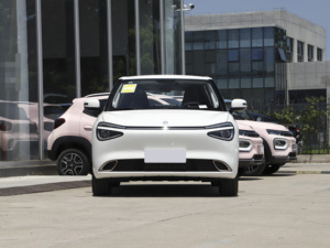 Китайские дешевые цены 2024 2025 модель Dongfeng Nano 01/Nammi 01 4 колеса электрические китайские мини-автомобили для продажи - Product Image 6