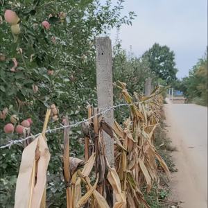 Malla <span class=keywords><strong>de</strong></span> <span class=keywords><strong>alambre</strong></span> <span class=keywords><strong>de</strong></span> púas <span class=keywords><strong>de</strong></span> acero galvanizado para uso en exteriores a largo plazo, púas afiladas, fácil instalación, bajo mantenimiento, protección <span class=keywords><strong>de</strong></span> la construcción del ganado - Product Image 4