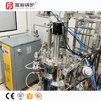Chaudière à vapeur verticale électrique automatique de 250 kg à alimentation par extrusion, pasteurisation, faible NOx, zéro émission, haute sécurité, conforme aux normes gouvernementales