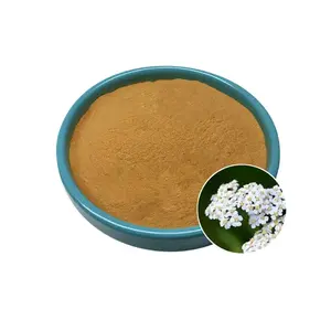 Factory Supply Plant extract Organic Achillea extract Natural Food