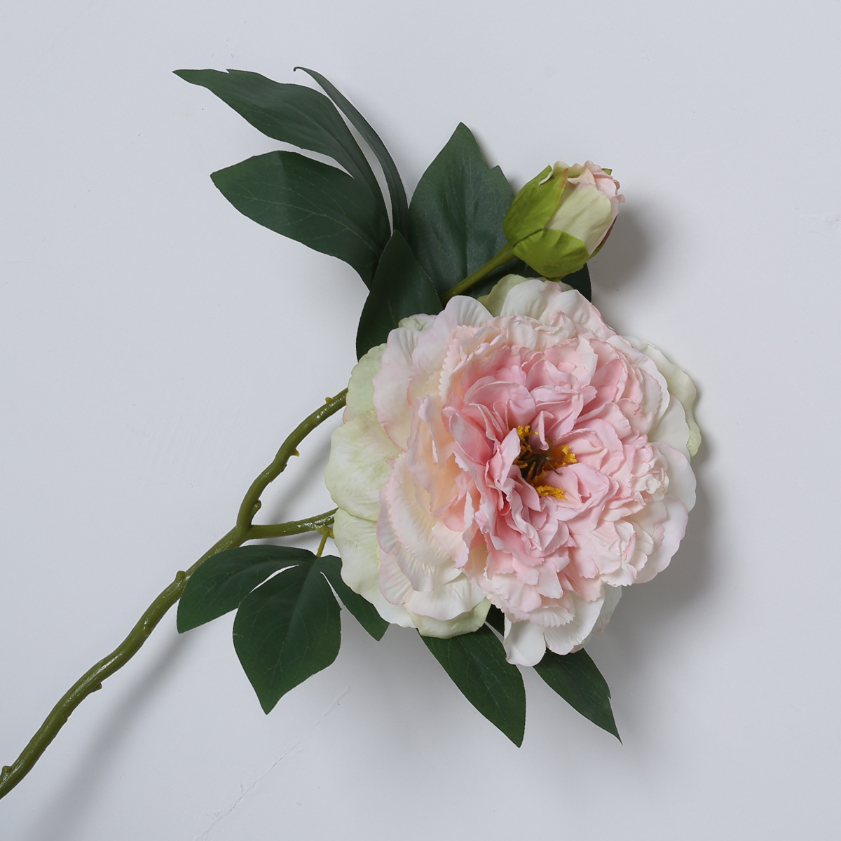 Peonías de pintura al óleo rosa claro con bordes chamuscados