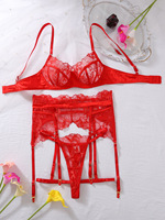 2025 Offres Spéciales femmes Sexy Lingerie ensemble haut niveau femmes dentelle jarretière Sexy sous-vêtements