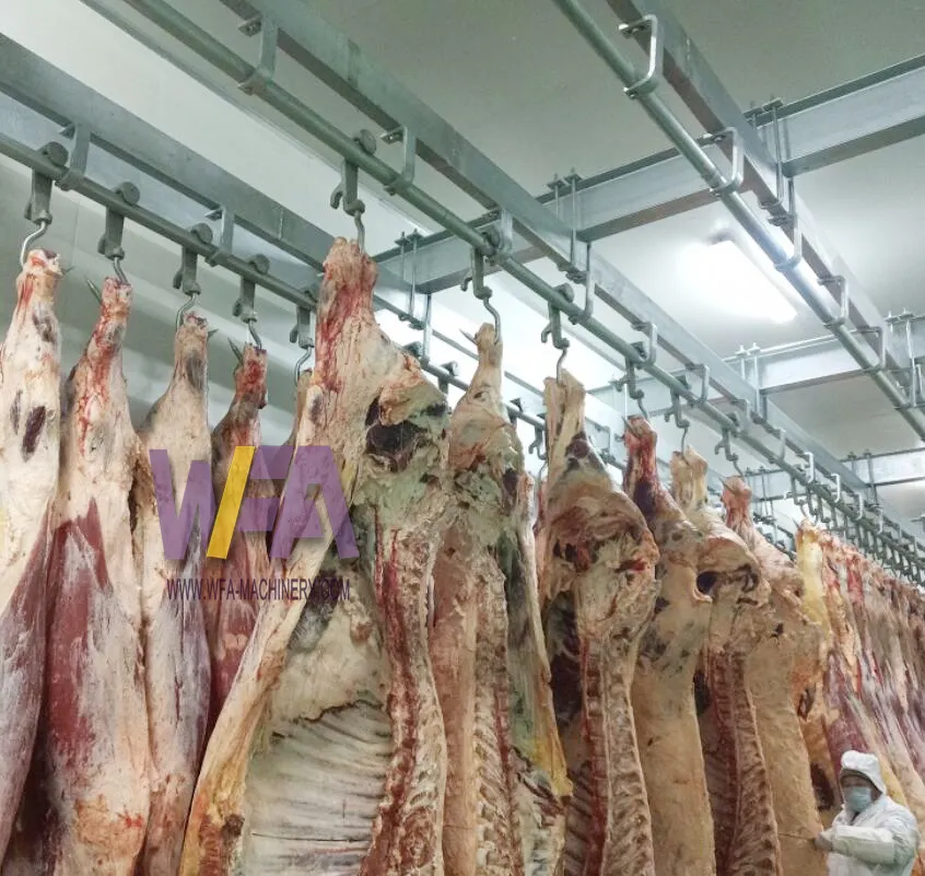 Équipement d'abattoir de boeuf OEM personnalisé convoyeur de purge de boucher pour machine d'abattage halal