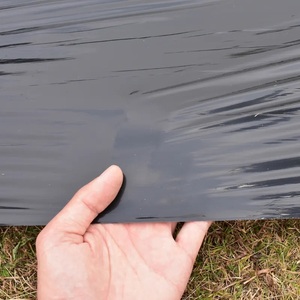 Factory Direct Sale Black and <strong>Silver</strong> Shine PE Plastic <strong>Mulch</strong> <strong>Film</strong> for Agricultural Greenhouse Crops - Product Image 6