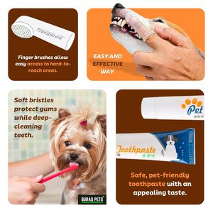 <b>Pet</b> Tooth <b>Brush</b> Set Dog Cat Dental Care Kit Soft Bristle Toothbrush Finger Toothbrush for Daily Teeth Cleaning Oral Hygiene - Product Image 5