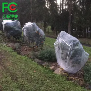 Sacchetti di rete per la copertura dell'albero da frutto del frutteto sacchetti di rete anti-insetti anti-mosche anti-uccello