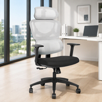 Kabel Haute Qualité Soutien Lombaire Maille Chaise D'ordinateur Bureau Ergonomique