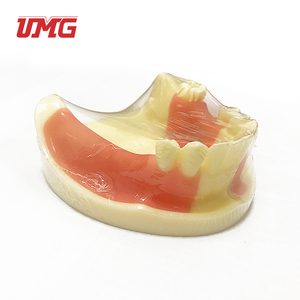 Aides pédagogiques dentaires Modèle de formation aux implants dentaires - Product Image 2