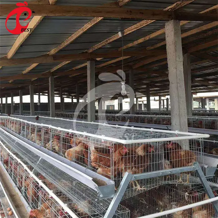 Strong A Type Frame 3 Tiers Manual Polutry Chicken Layer Wire Battery Cage