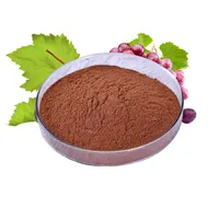 Grade Grape Seed Extract Seed Excellent Quality Top Grade Multipurpose Grape Seed Extract