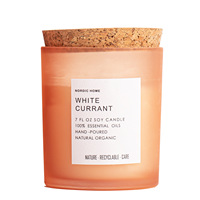 Groothandel Moderne Handgegoten Natuurlijke Biologische Geurende Kaarsen 100% Etherische Oliën Glazen Pot Sojawas Papaya Geur Decoratief Cadeau