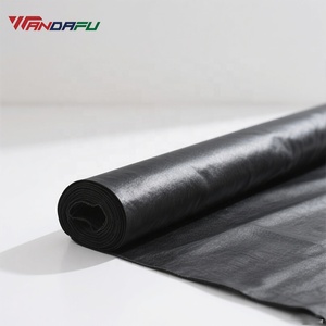 Hot Bán 0.75Mm Nuôi Trồng Thủy Sản Ngoài Trời Polyethylene Cá Trang Trại Ao Lót HDPE Geomembranes Cho Bể Dầu - Product Image 2