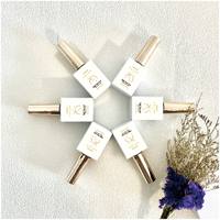 Vernis Gel UV LED Coloré Semi-Permanent en Gros, Liquide à Tremper pour Ongles, Bouteille pour Salon de Manucure