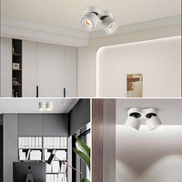 Spot encastré Hofoled pour plafond, montage en surface, rond, anti-éblouissement, grille, éclairage vers le bas, CE RoHS, pliable, LED réglable