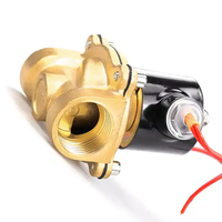 Vanne Solénoïde Bidirectionnelle Étanche 12V 24V 220V 1/2" à 2" (DN15-50) Structure de Commande 2W pour l'Eau avec Garantie de 12 Mois