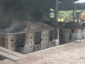 Meilleur prix produit agricole haute calorie palmiste charbon de bois une source de carburant renouvelable qui réduit la déforestation - Product Image 2