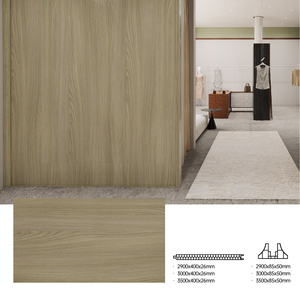 Panel de Pared Divisorio de PVC Elegante de 2900*400*26 mm, Fácil de Instalar, Impermeable e Ignífugo, Ideal para División de Espacios Interiores y Decoración - Product Image 2