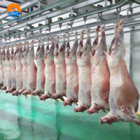 Ligne de traitement halal pour l'abattage de moutons et de chèvres, équipement d'abattoir en acier inoxydable pour l'usine de transformation du mouton