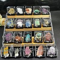 Boîte à Petits Spécimens en Cristal Naturel de Roches Brutes Boîte Minérale en Acrylique
