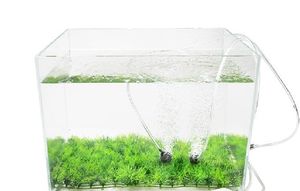 Manguera <span class=keywords><strong>de</strong></span> Silicona para Bomba <span class=keywords><strong>de</strong></span> Aire <span class=keywords><strong>de</strong></span> Acuario, Tubo Flexible para Bomba <span class=keywords><strong>de</strong></span> Oxígeno para Peceras, Manguera Transparente <span class=keywords><strong>de</strong></span> Grado Alimenticio - Product Image 6