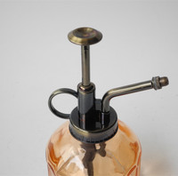 Flacons pulvérisateurs d'eau à fleurs Mini brumisateurs de plantes vintage Pot d'arrosage d'atomiseur de plantes décoratives avec pompe