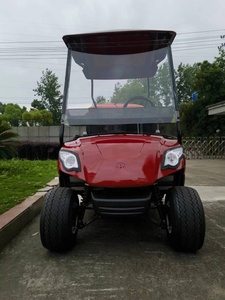 Carritos de <span class=keywords><strong>Golf</strong></span>/Buggy de Gasolina de 2 Plazas, Certificados por la EPA, en Oferta, <span class=keywords><strong>Precio</strong></span> Económico - Product Image 4