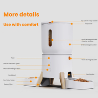 Distributeur automatique portable double bol pour animaux de compagnie, pour deux chats simultanément, avec assiettes détachables incluses, pour la maison