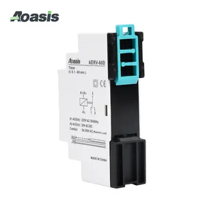 Relays Manufacturer Adjustable Time Delay Relay AERV-60D 0.1s To 60minutes