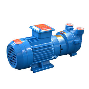 משאבות אוויר מסוג טבעת מים מסדרת Boyuan 2BV, חלקים תעשייתיים, משאבה צנטריפוגלית ללא שמן עם מתח AC 380V, משאבה תעשייתית - Product Image 3