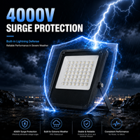 Reflector LED de Alta Potencia, Diseño Exclusivo, IP65 Impermeable, Protección Contra Sobretensiones de 4000V, Vidrio Texturizado Antideslumbrante, 30W-600W