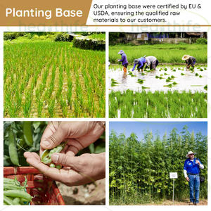 Кас 124-20-9 высококачественный натуральный ферментированный экстракт зародышей риса в порошке 0.2% 0.5% 1% спермидина - Product Image 4