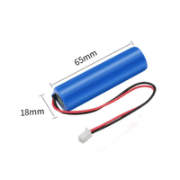 Baterai Lithium Ion 18650 Isi Ulang 5000mah Paket Baterai Li Ion Isi Ulang
