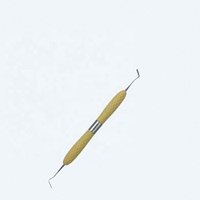 (Haute qualité) Instruments composites dentaires pour restaurations esthétiques