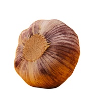 Ail frais biologique (blanc normal/blanc pur) de la dernière récolte exporté vers l'Afrique (Angola/Sénégal/Gongo/Gabon/Ghana/Kenya/Mali)