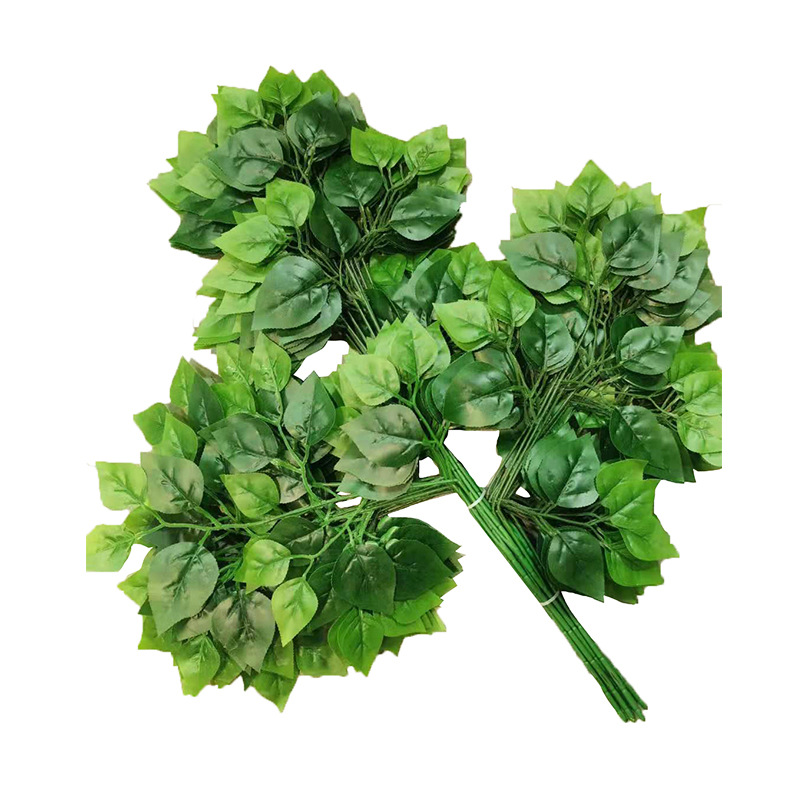 branche de bouleau vert