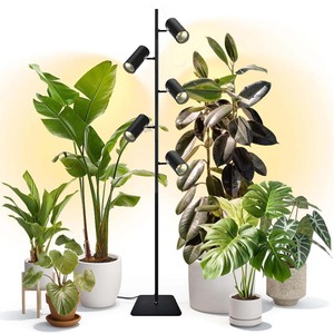 Corner Plant <b>Stand</b> With Grow Lights Decorative Corner Grow Light Indoor Plant Display Home Decor Commercial Wholesale - Product Image 2