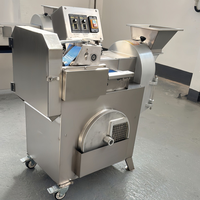 Instelbare dikte industriële groentesnijder, -schaafmachine en -snijmachine, multifunctionele snijmachine voor groenteverwerking