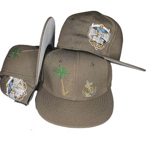 Casquettes Snapback Vintage de Haute Qualité en Tissu Oxford Durable, Design Multi-Panneaux, Motifs Argyle, Léopard, Pois, Casquette de Baseball Ajustée - Product Image 1