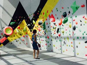 2020 Sợi Thủy Tinh Rock Leo Tường Khối Lượng Trong Nhà Bouldering - Product Image 3