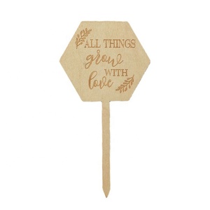 Etichette in Legno <span class=keywords><strong>per</strong></span> Piante Grasse, Targhette Vuote a T, Rotonde ed Esagonali, Segnaposto <span class=keywords><strong>per</strong></span> Piante in Vaso <span class=keywords><strong>da</strong></span> <span class=keywords><strong>Giardino</strong></span>, <span class=keywords><strong>per</strong></span> Ortaggi, <span class=keywords><strong>Fiori</strong></span> e <span class=keywords><strong>Semi</strong></span> - Product Image 4