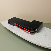 Pack de batteries LiFePO4 personnalisé 12V-1000V 10Ah-1000Ah, qualité industrielle, batterie de stockage au lithium multi-scénarios