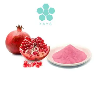 Spray Dried Organic Pomegranate Fruit Extract Powder Natural Pomegranate