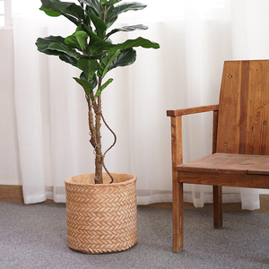 Conception de tissage de <span class=keywords><strong>bambou</strong></span> de haute qualité pots de plantes vertes de ciment décoratifs d'intérieur extérieur pour la décoration de jardin à la maison - Product Image 5