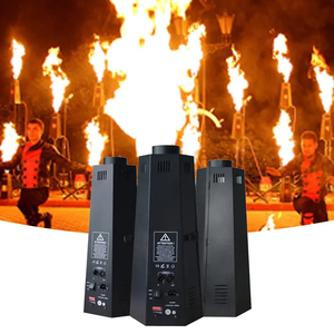 Máquina de fuego real de alta calidad Flame 200W Stage Party Show Effect DMX Colorful Outdoor Concert Events Fire Flamethrower Machine - Product Image 4