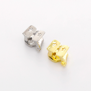Grillz anti-ternissement plaqué <span class=keywords><strong>or</strong></span> 18 carats, tête de lion, <span class=keywords><strong>dent</strong></span> unique - Bijoux 3D dents de bête Hip Hop pour hommes et femmes, vente <span class=keywords><strong>en</strong></span> gros - Product Image 3
