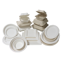 Assiettes jetables en canne à sucre 100 % compostables et biodégradables sans PFAS pour les voyages