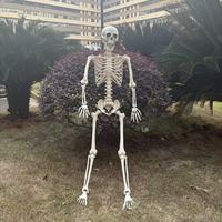 Décoration de jardin pour Halloween, squelettes humains de grande taille, 5,4 pieds, 5 pieds, 160 cm, postures variées, squelettes d'Halloween