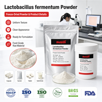 Poudre de probiotiques de qualité alimentaire Lactobacillus Bulgaricus 10 milliards UFC/g, service OEM, certifié GMP, approvisionnement en vrac