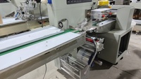 Machine d'emballage horizontale Flow Pack pour assiettes jetables, machine d'emballage de cuisine, machine d'emballage en forme de coussin